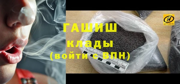 соль ск Тайга