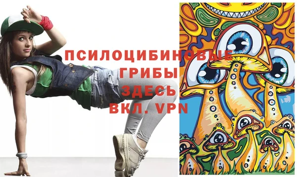 индика Армянск