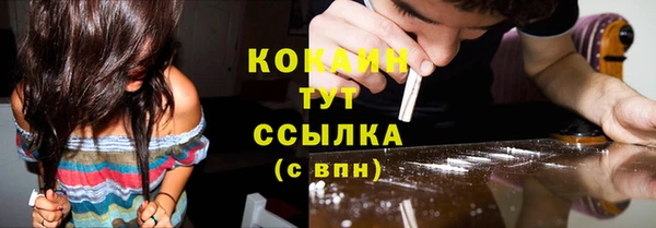 мяу мяу мука Аркадак