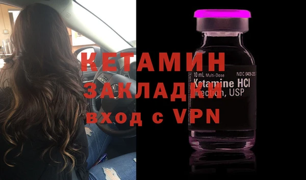 соль ск Тайга