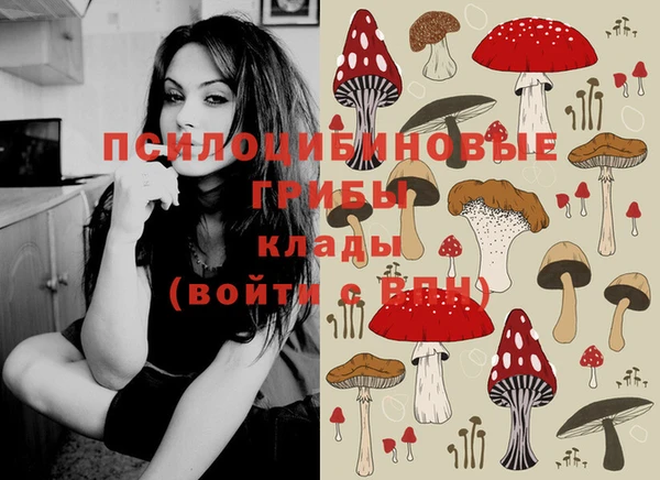PSILOCYBIN Арсеньев