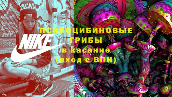 мяу мяу мука Аркадак