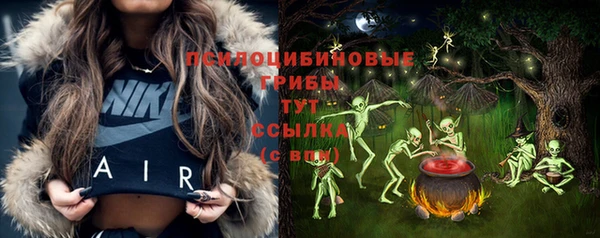 индика Армянск