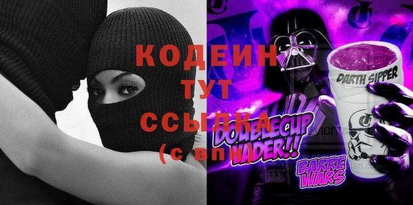 индика Армянск