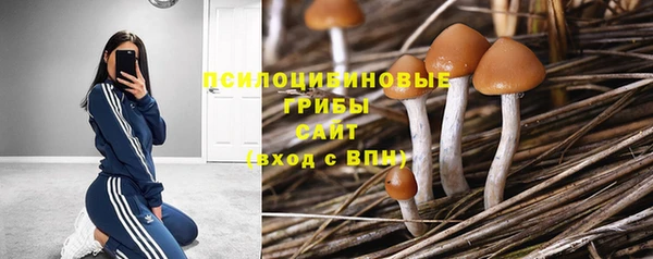 гашиш Сясьстрой