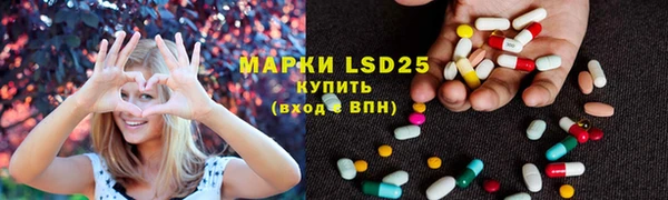 индика Армянск